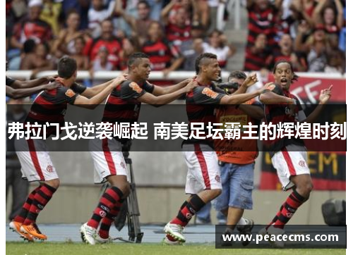 弗拉门戈逆袭崛起 南美足坛霸主的辉煌时刻
