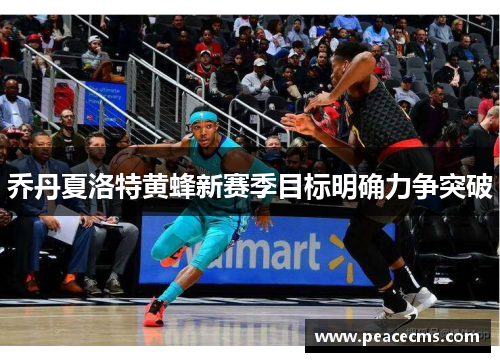 乔丹夏洛特黄蜂新赛季目标明确力争突破